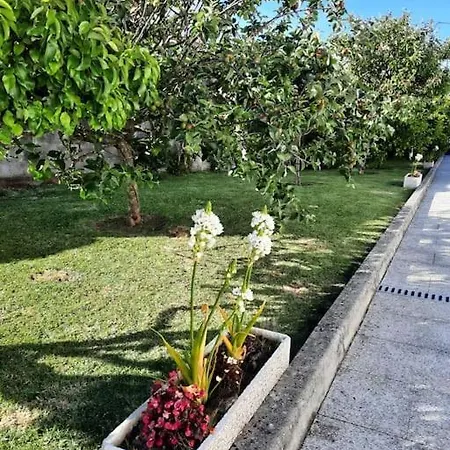 Atico En O Grove Con Jardin Apartment Exterior photo